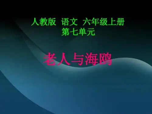 《老人与海鸥》ppt课件1
