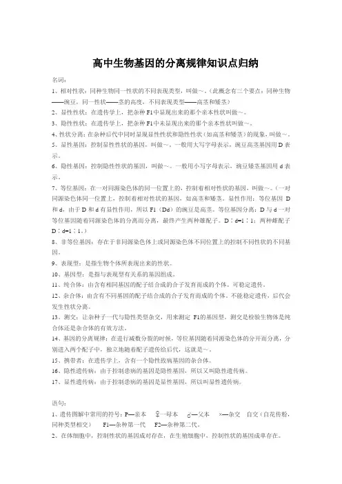高中生物基因的分离规律知识点归纳