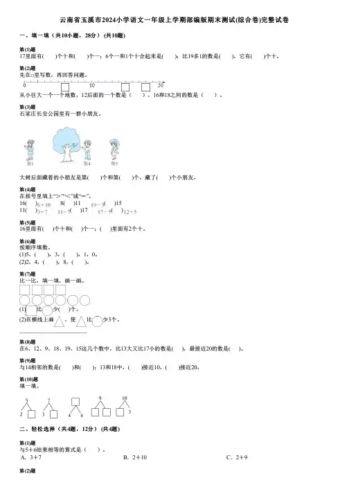 云南省玉溪市2024小学数学一年级上学期部编版期末测试(综合卷)完整试卷