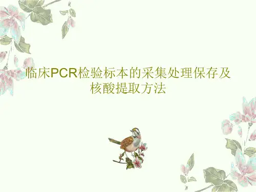 临床PCR检验标本的采集处理保存及核酸提取方法共66页文档