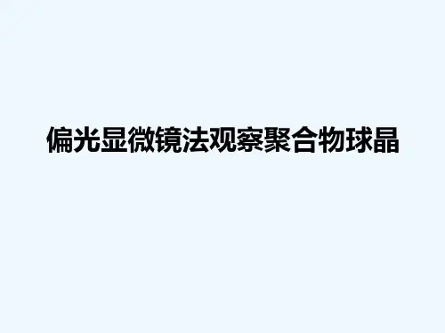 偏光显微镜发观察聚合物球晶
