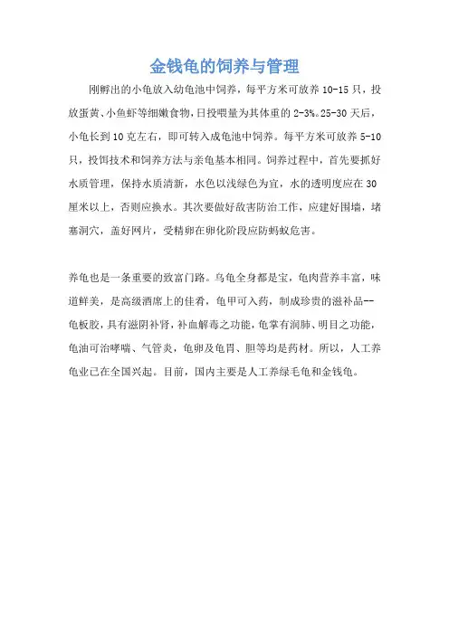 金钱龟的饲养与管理