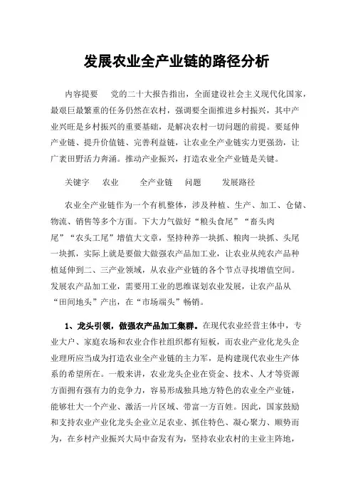 发展农业全产业链的路径分析
