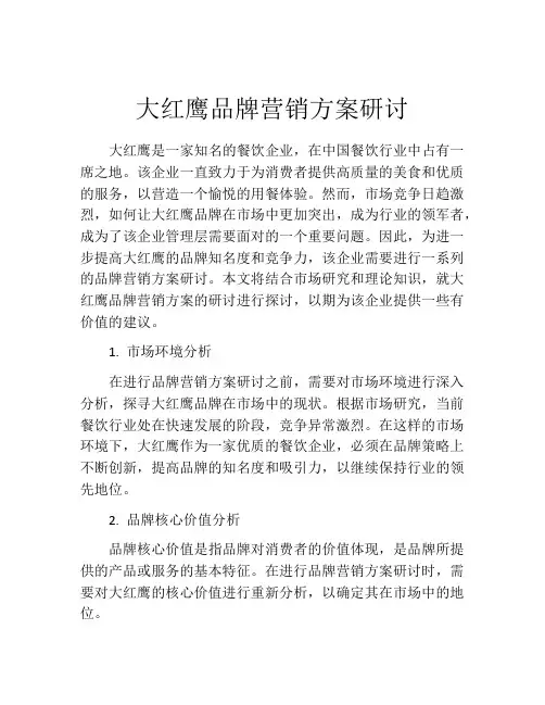 大红鹰品牌营销方案研讨
