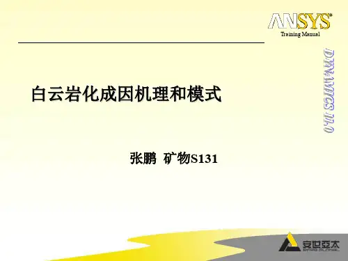 白云岩化成因机理和模式