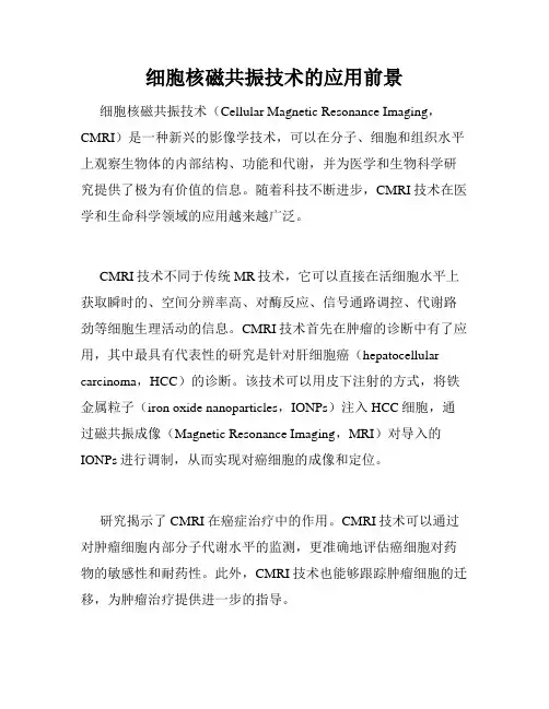 细胞核磁共振技术的应用前景