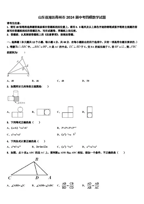 山东省潍坊青州市2024届中考四模数学试题含解析
