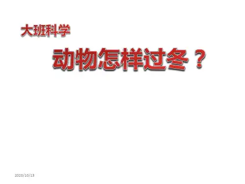 幼儿园ppt课件：小动物过冬