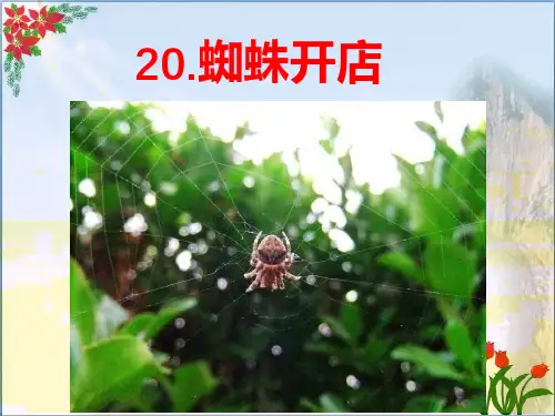 蜘蛛开店 人教部编版PPT 优秀课件