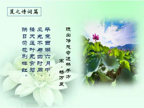 《荷塘月色》11