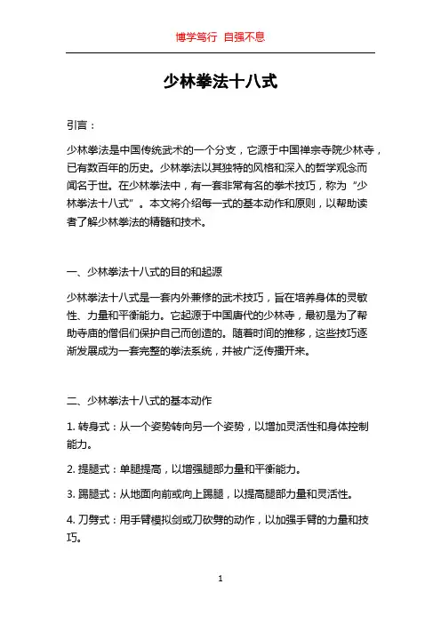 少林拳法十八式
