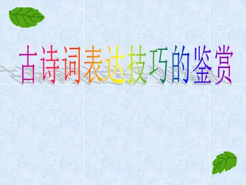 2023年中考语文二轮专题复习：古诗词表达技巧+课件(30张PPT)