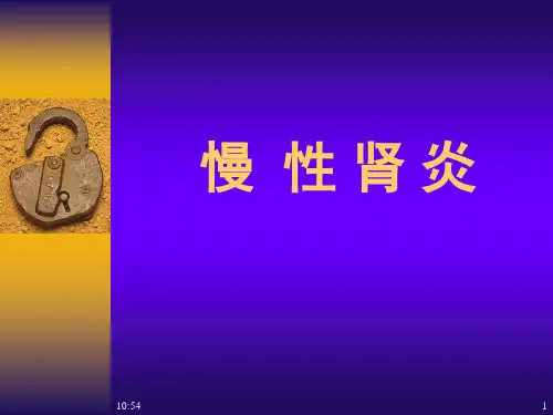 慢性肾炎ppt参考课件