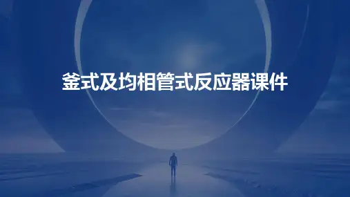 釜式及均相管式反应器课件