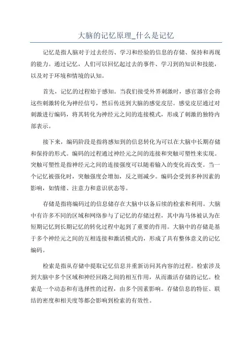 大脑的记忆原理_什么是记忆
