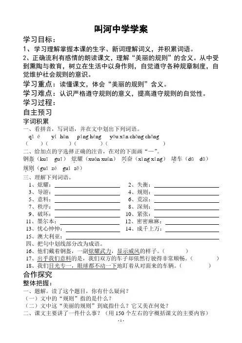 《美丽的规则》学案