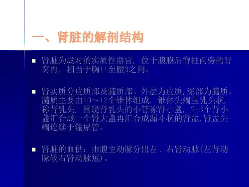 泌尿系疾病超声诊断