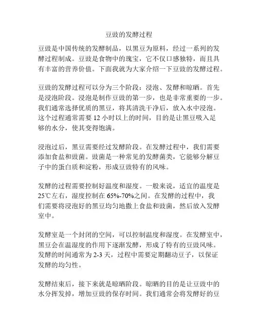 豆豉的发酵过程