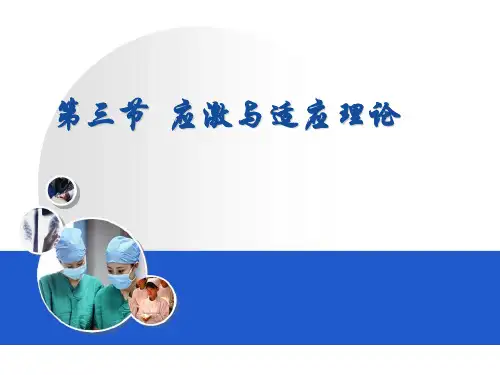 应激与适应理论