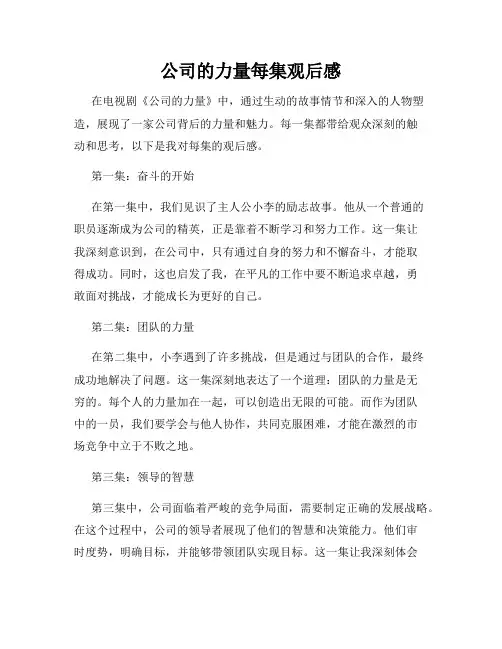 公司的力量每集观后感