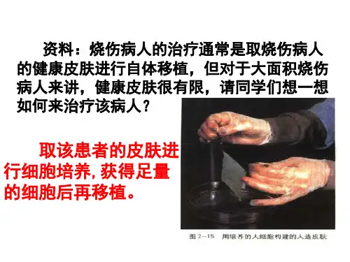 动物细胞培养概念原理