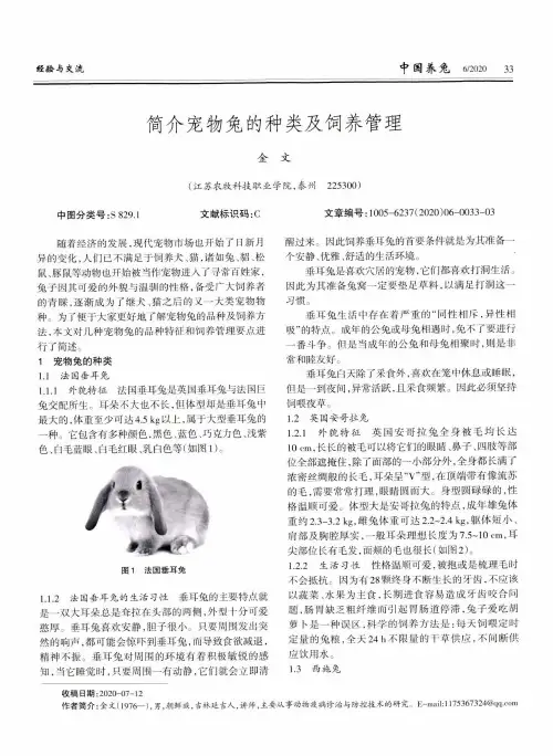 简介宠物兔的种类及饲养管理