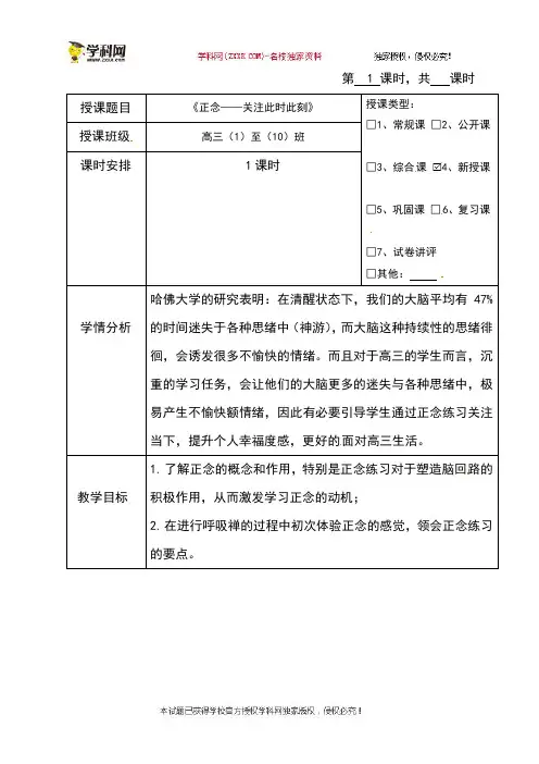 海南省华东师范大学第二附属中学乐东黄流中学高三心理健康与教育教案：2正念,此时此刻