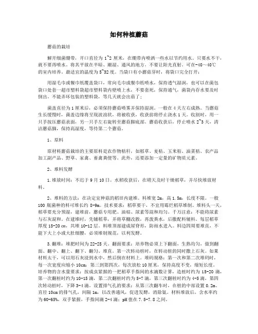 如何种植蘑菇