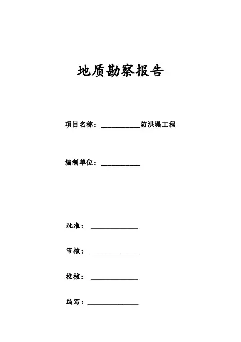 地质勘探报告模板