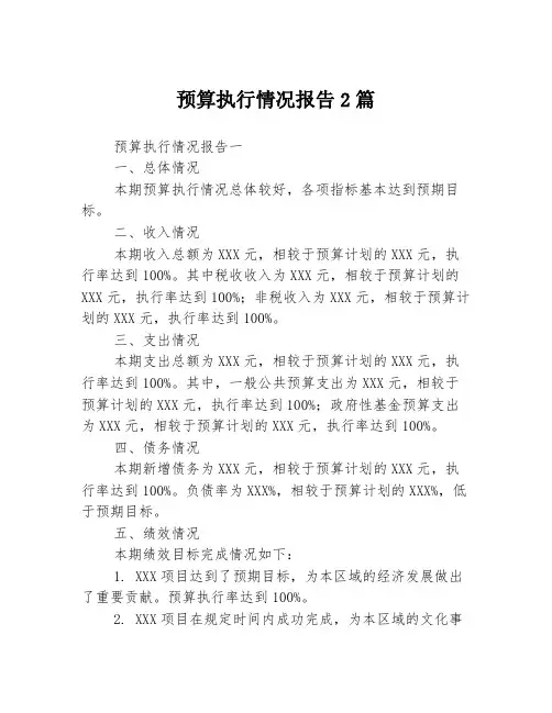 预算执行情况报告2篇