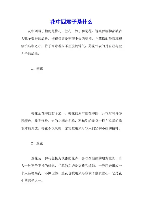 花中四君子是什么