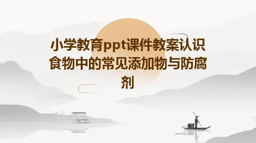 小学教育ppt课件教案认识食物中的常见添加物与防腐剂