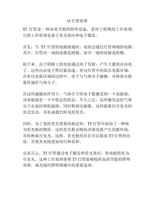 t5灯管原理