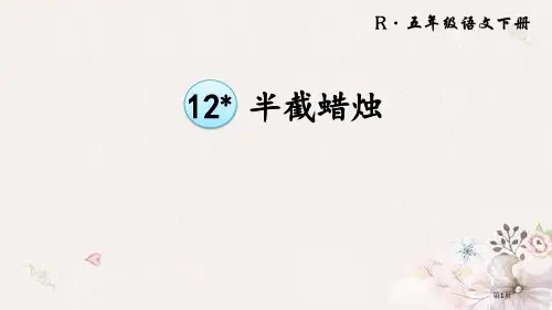 12-半截蜡烛市公开课金奖市赛课一等奖课件