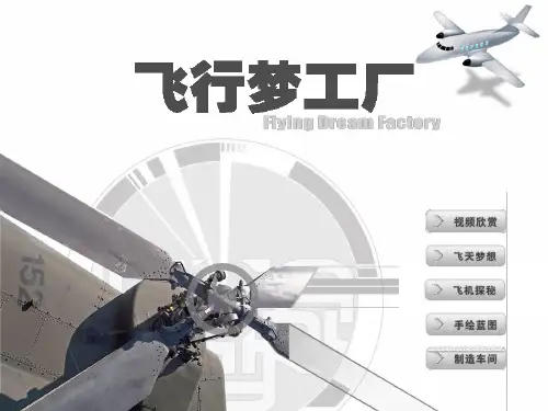 (五上)美术优秀课件-《飞行梦工厂》2 湘美版PPT(30页)