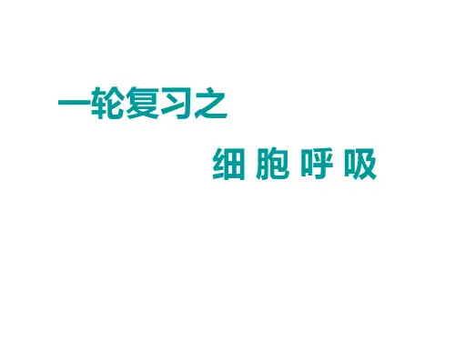 浙江省奉化市高级中学高中生物浙教专题复习课件：细胞呼吸