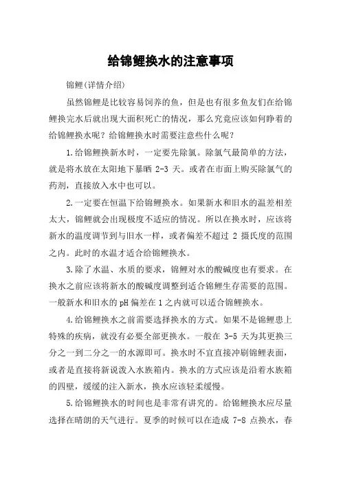 给锦鲤换水的注意事项
