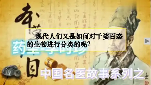 2024年秋新人教版七年级上册生物课件 第四章 生物分类的方法 第一节 尝试对生物进行分类 