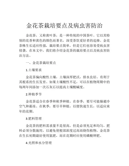 金花茶栽培要点及病虫害防治