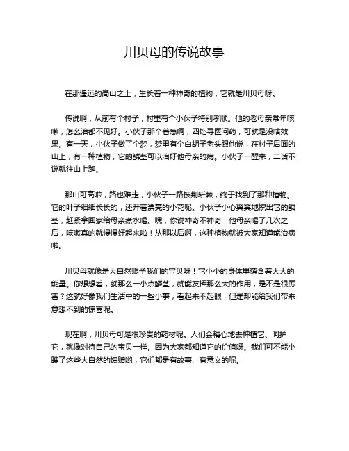 川贝母的传说故事