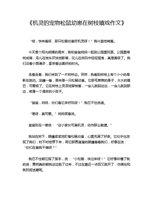 《机灵的宠物松鼠幼崽在树枝嬉戏作文》