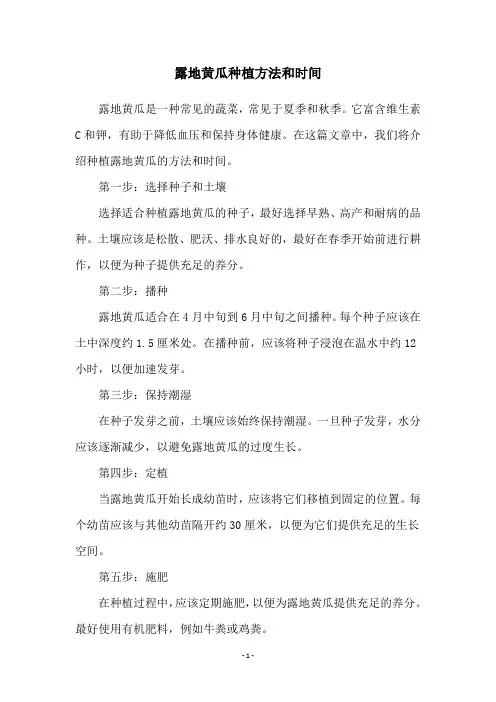 露地黄瓜种植方法和时间