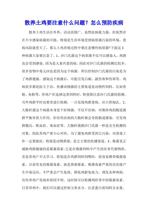 散养土鸡要注意什么问题？怎么预防疾病