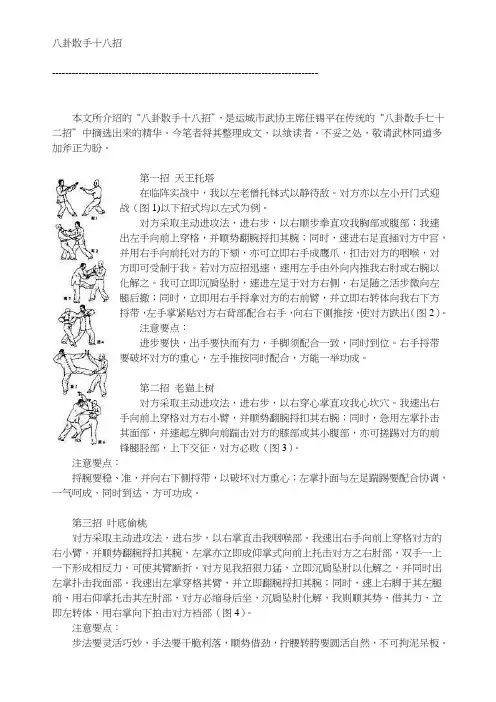 八卦掌-散手十八招