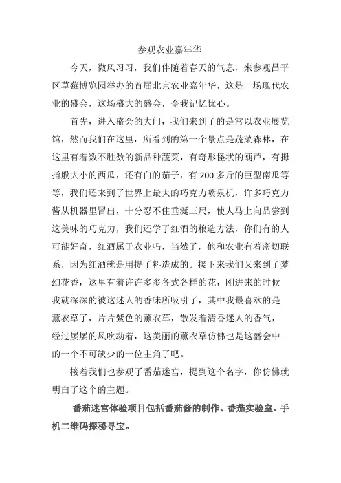 农业嘉年华