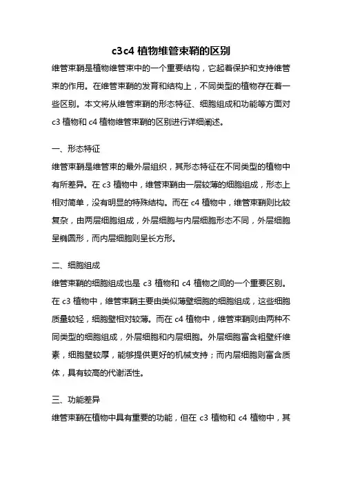 c3c4植物维管束鞘的区别