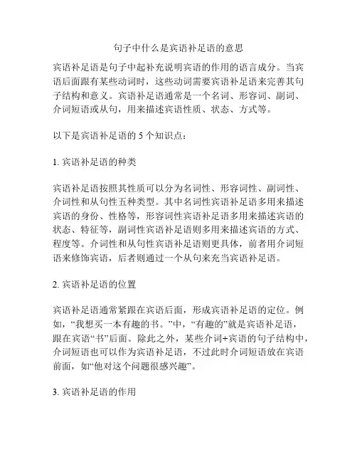 句子中什么是宾语补足语的意思