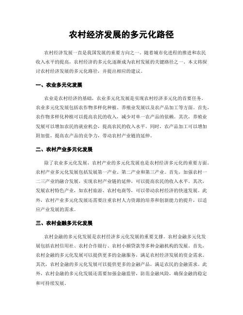 农村经济发展的多元化路径