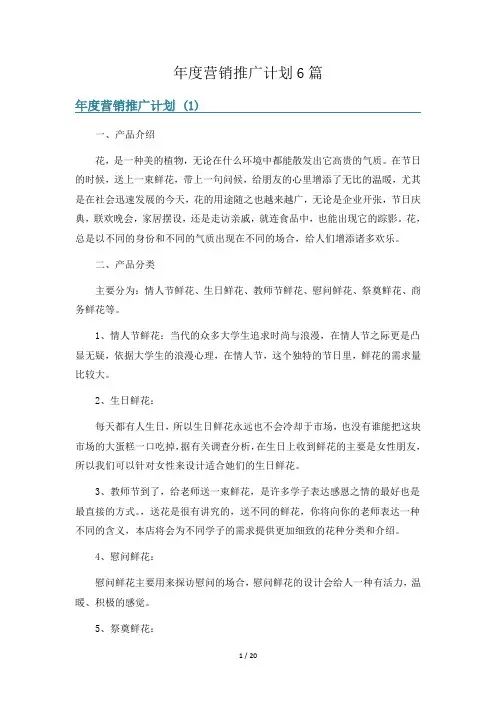 年度营销推广计划6篇
