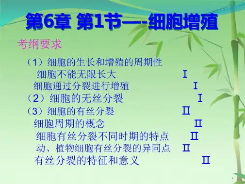 高考生物一轮复习课件细胞增殖(共42张PPT)